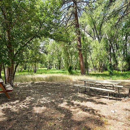 Rustic Cabin Near Downtown Bv And Arkansas River! Buena Vista Exteriör bild