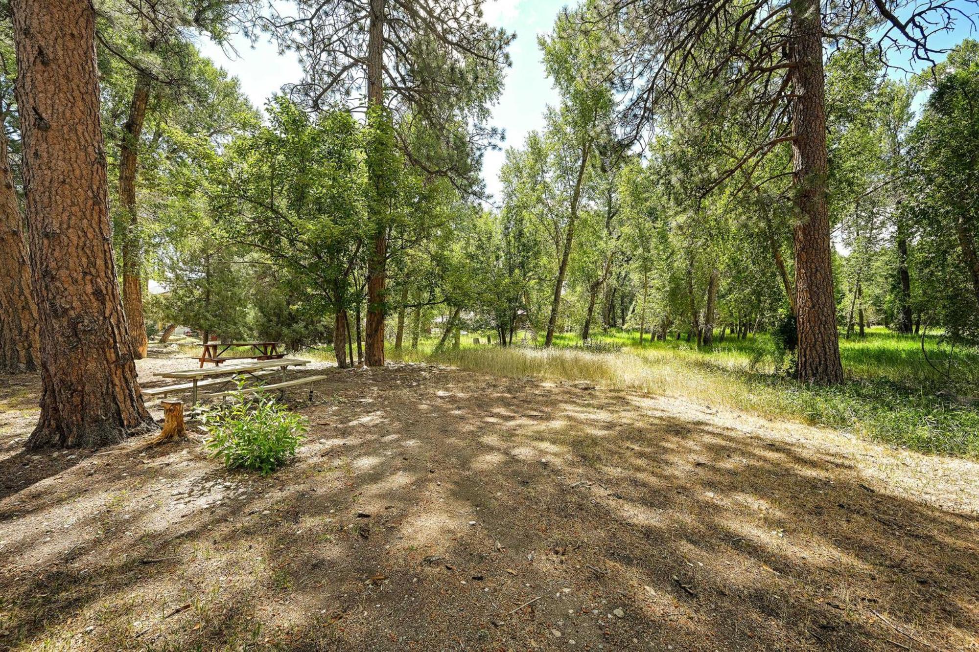Rustic Cabin Near Downtown Bv And Arkansas River! Buena Vista Exteriör bild